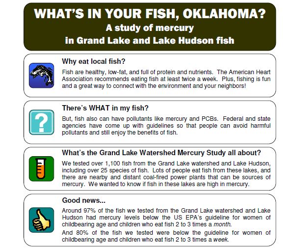 Whats_In_Your_Fish Fact Sheet